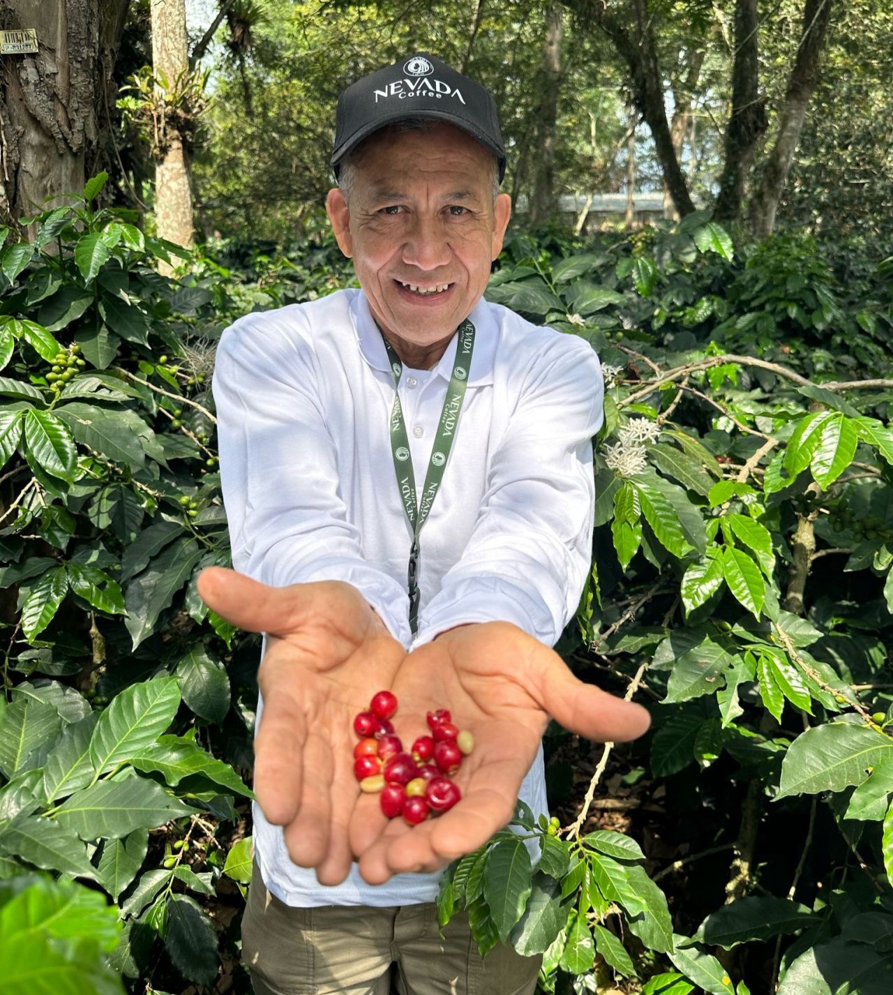 About Nevada Coffee